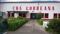 Teeplantage von Gorreana &ndash; &copy; Simone Willner (Eberhardt TRAVEL)