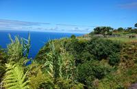 Faial &ndash; &copy; Simone Willner (Eberhardt TRAVEL)