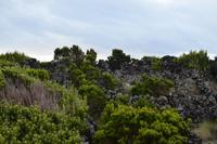 Manche Parzellen waren auch verwildert  &ndash; &copy; Martin Gruhle (Eberhardt TRAVEL)