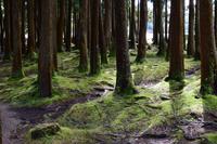 der Märchenwald &ndash; &copy; Martin Gruhle (Eberhardt TRAVEL)