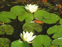 In Blandys Garden &ndash; &copy; Petra Mehnert (Eberhardt TRAVEL)
