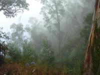 Am Cabo Girao &ndash; &copy; Petra Mehnert (Eberhardt TRAVEL)