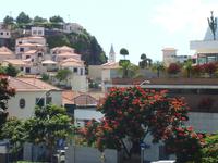 In Camara de Lobos &ndash; &copy; Petra Mehnert (Eberhardt TRAVEL)
