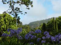 In Blandys Garden &ndash; &copy; Petra Mehnert (Eberhardt TRAVEL)