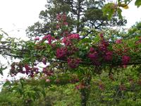 In Blandys Garden &ndash; &copy; Petra Mehnert (Eberhardt TRAVEL)