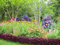 Blumenpracht