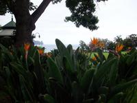 Parque de Santa Catarina &ndash; &copy; Annette Lenz (Eberhardt TRAVEL)