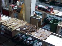 Fischhalle &ndash; &copy; Annette Lenz (Eberhardt TRAVEL)