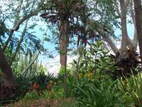 Botanischer Garten &ndash; &copy; Annette Lenz (Eberhardt TRAVEL)