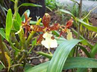 Botanischer Garten &ndash; &copy; Annette Lenz (Eberhardt TRAVEL)