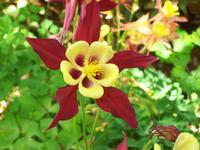 Botanischer Garten &ndash; &copy; Annette Lenz (Eberhardt TRAVEL)