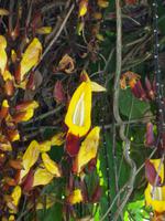 Botanischer Garten &ndash; &copy; Annette Lenz (Eberhardt TRAVEL)