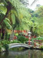 Jardim Tropical - Monte Palace &ndash; &copy; Annette Lenz (Eberhardt TRAVEL)