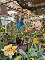 Orchiedeengarten - Besitzer Patrick erklärt seine Pflanzen &ndash; &copy; Antonia Knorrscheid (Eberhardt TRAVEL)
