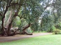 Eine Pracht! &ndash; &copy; Katrin Hohenstein (Eberhardt TRAVEL)
