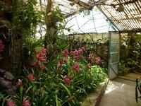 Orchideengarten &ndash; &copy; Katrin Hohenstein (Eberhardt TRAVEL)