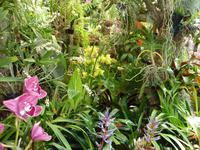 Orchideengarten &ndash; &copy; Katrin Hohenstein (Eberhardt TRAVEL)