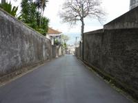 Monte: Korbschlittenfahrt &ndash; &copy; Petra Scherbaum (Eberhardt TRAVEL)