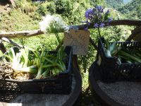 Kaufgelegenheit am Wegesrand… &ndash; &copy; Vivian Kreft (Eberhardt TRAVEL)