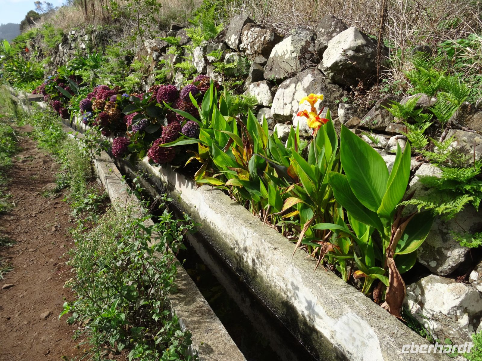 entlang der Levada &ndash; &copy; Hans-Joachim Trutz (Eberhardt TRAVEL)