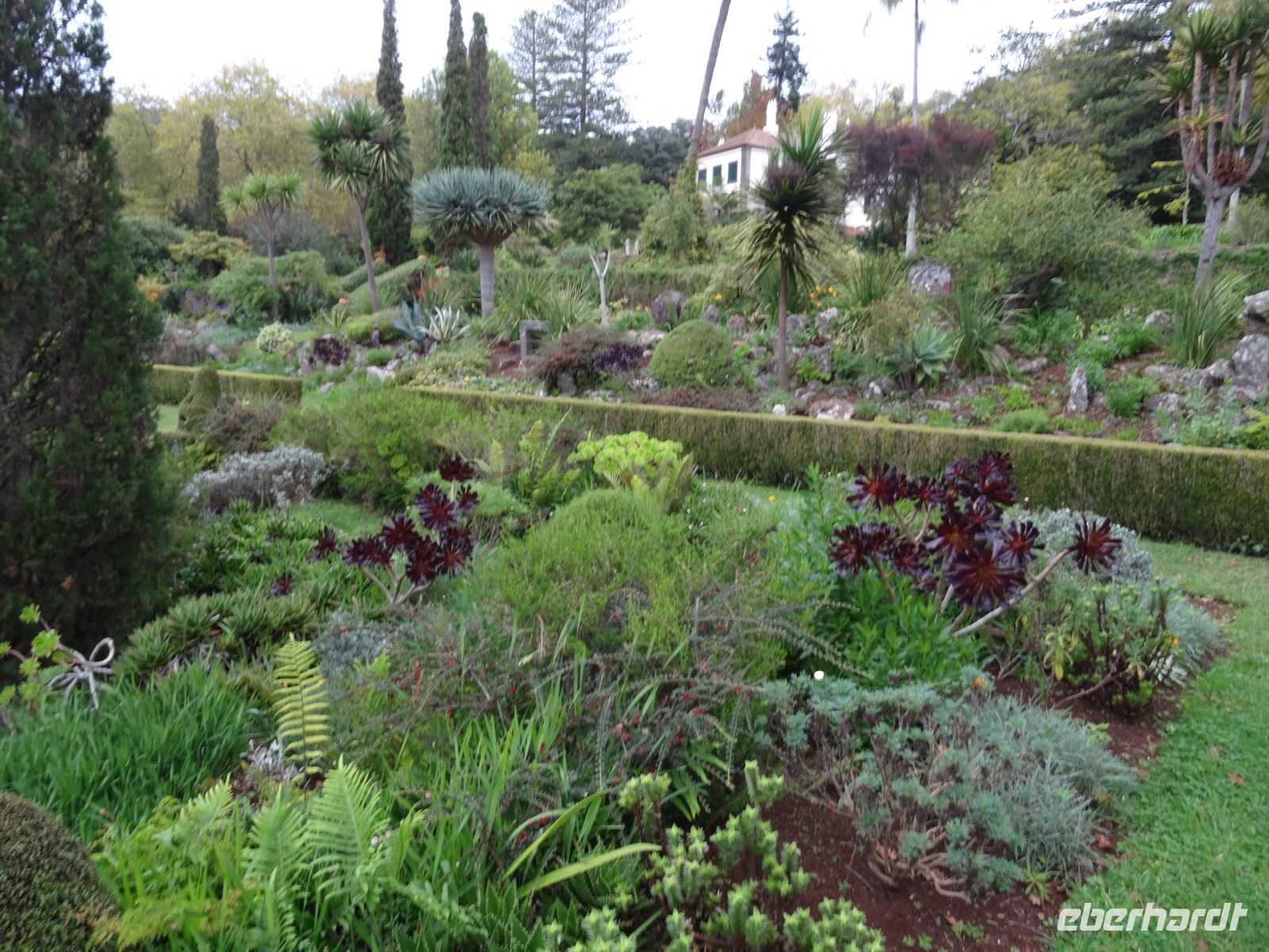 Quinta do Palheiro &ndash; &copy; Hans-Joachim Trutz (Eberhardt TRAVEL)