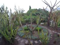 Funchal - Botanischer Garten &ndash; &copy; Hans-Joachim Trutz (Eberhardt TRAVEL)