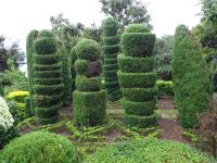Funchal - Botanischer Garten &ndash; &copy; Hans-Joachim Trutz (Eberhardt TRAVEL)
