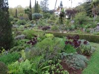 Quinta do Palheiro &ndash; &copy; Hans-Joachim Trutz (Eberhardt TRAVEL)