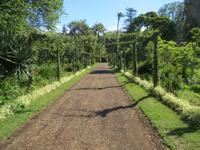 019_Blandy's Garten &ndash; &copy; Rica Schubert (Eberhardt TRAVEL)
