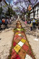 029_Blumenteppich in Funchal &ndash; &copy; Rica Schubert (Eberhardt TRAVEL)