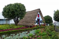 160_Santana &ndash; &copy; Rica Schubert (Eberhardt TRAVEL)