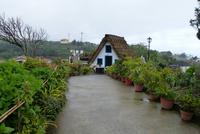 162_Santana &ndash; &copy; Rica Schubert (Eberhardt TRAVEL)