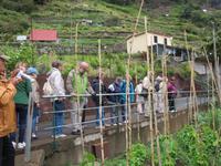 168_Levada-Wanderung &ndash; &copy; Rica Schubert (Eberhardt TRAVEL)