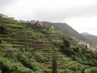 169_Levada-Wanderung &ndash; &copy; Rica Schubert (Eberhardt TRAVEL)