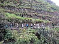 170_Levada-Wanderung &ndash; &copy; Rica Schubert (Eberhardt TRAVEL)