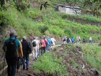 173_Levada-Wanderung &ndash; &copy; Rica Schubert (Eberhardt TRAVEL)