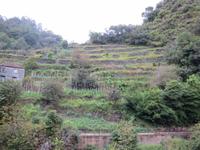 174_Levada-Wanderung &ndash; &copy; Rica Schubert (Eberhardt TRAVEL)
