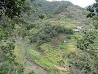 181_Levada-Wanderung &ndash; &copy; Rica Schubert (Eberhardt TRAVEL)