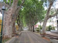 182_Machico &ndash; &copy; Rica Schubert (Eberhardt TRAVEL)