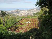191_Botanischer Garten, Funchal &ndash; &copy; Rica Schubert (Eberhardt TRAVEL)