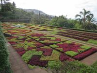 194_Botanischer Garten, Funchal &ndash; &copy; Rica Schubert (Eberhardt TRAVEL)