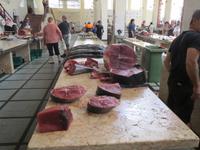 199_Fischmarkt, Funchal &ndash; &copy; Rica Schubert (Eberhardt TRAVEL)