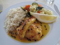 263_Degenfisch &ndash; &copy; Rica Schubert (Eberhardt TRAVEL)
