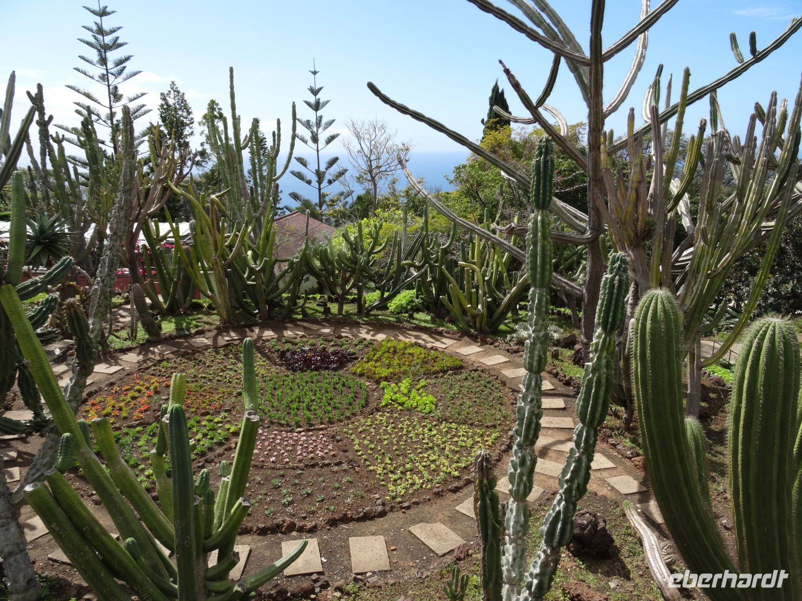 Botanischer Garten von Funchal &ndash; &copy; Hans-Joachim Trutz (Eberhardt TRAVEL)