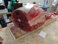 Funchal, Markthalle - Thunfisch &ndash; &copy; Hans-Joachim Trutz (Eberhardt TRAVEL)
