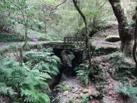 Levada do Balcoes &ndash; &copy; Hans-Joachim Trutz (Eberhardt TRAVEL)