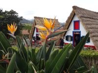 Santana &ndash; &copy; Hans-Joachim Trutz (Eberhardt TRAVEL)