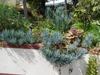 Esmeraldas Kräutergarten - blaue Kreide &ndash; &copy; Hans-Joachim Trutz (Eberhardt TRAVEL)
