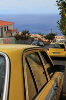 Madeira &ndash; &copy; Elisa Müller (Eberhardt TRAVEL)