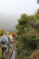 Wanderung im 
